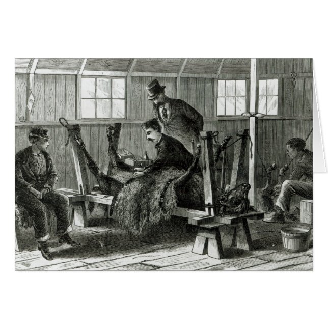 子牛からのウイルスの取得 (正面横)