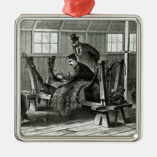 子牛からのウイルスの取得 メタルオーナメント (正面)