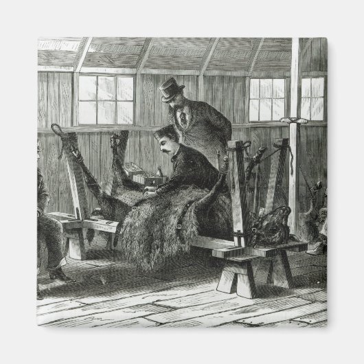 子牛からウイルスを取り出す マグネット (正面)