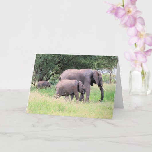 子牛とゾウ野生動物の赤ちゃん動物の写真 カード (蘭)