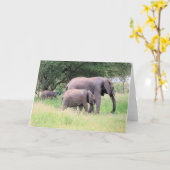 子牛とゾウ野生動物の赤ちゃん動物の写真 カード (黄色い花)