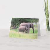子牛とゾウ野生動物の赤ちゃん動物の写真 カード (正面)