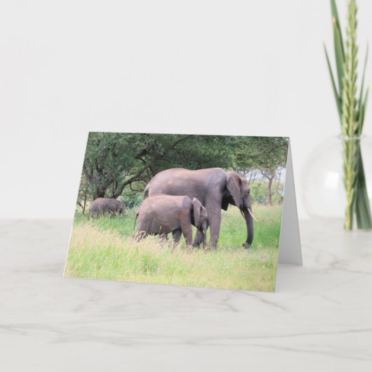 子牛とゾウ野生動物の赤ちゃん動物の写真 カード (正面)