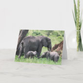 子牛とゾウ野生動物の赤ちゃん動物の写真 カード (正面)