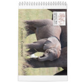 子牛のカレンダー カレンダー (カバー)