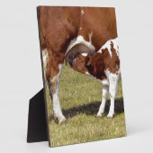 子牛の乳飲み フォトプラーク (側面)