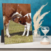 子牛の乳飲み フォトプラーク (側面)