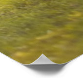 子牛の休息 ポスター (角)