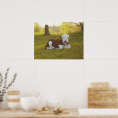 子牛の休息 ポスター (キッチン)