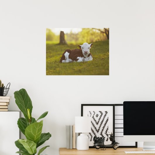 子牛の休息 ポスター (ホームオフィス)