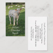 子牛を持つCharolaisの肉牛 名刺 (正面/裏面)