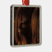 子牛オビボス・モシャタス生まれたばかりの菌 メタルオーナメント (右)