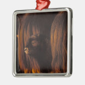 子牛オビボス・モシャタス生まれたばかりの菌 メタルオーナメント (左)