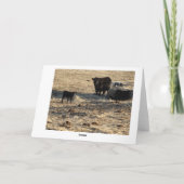 子牛 カード (裏面)