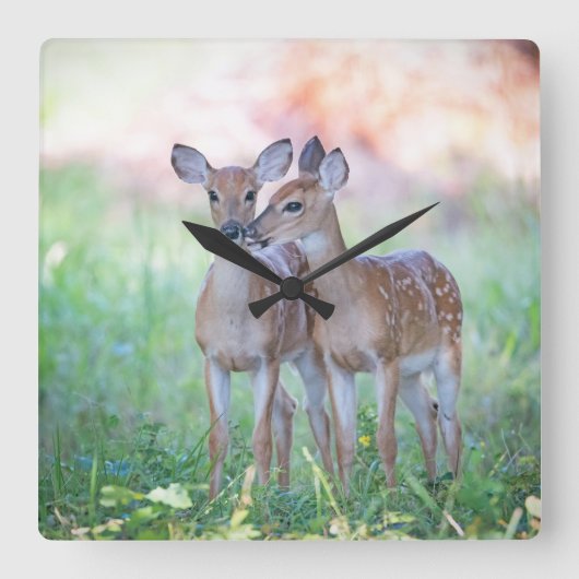 子牛 スクエア壁時計 (正面)