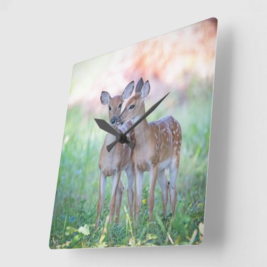 子牛 スクエア壁時計 (傾斜)