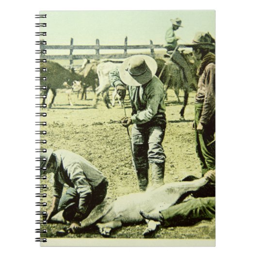 子牛、c.1900 (写真)を決め付けているアメリカのカウボーイ ノートブック (正面)