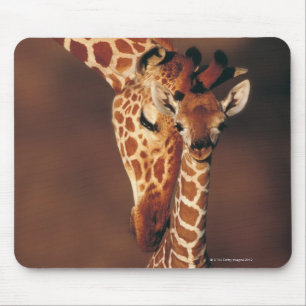 子牛(Giraffaのcamelopardalis)を持つ大人のキリン マウスパッド