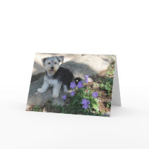 子犬ありがとう