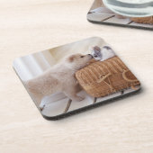 子犬およびウサギ コースター (左側)