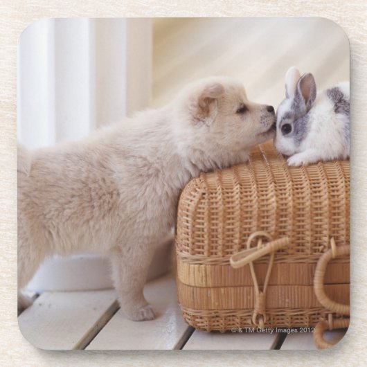 子犬およびウサギ コースター (正面)