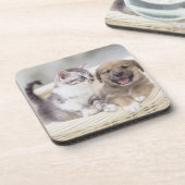 子犬およびベビー猫 コースター (左側)