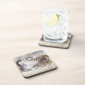 子犬およびベビー猫 コースター (右側)