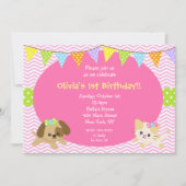 子犬および子猫猫犬の誕生日の招待状 招待状 (正面)