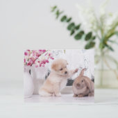 子犬およびLOPの耳のウサギ ポストカード (スタンド正面)