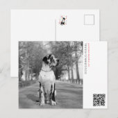 子犬お知らせポストカード ポストカード (正面/裏面)