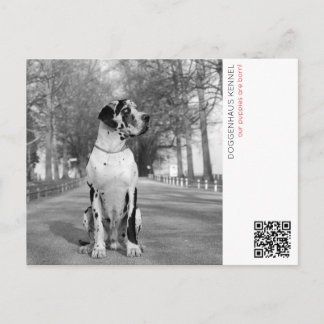 子犬お知らせポストカード ポストカード