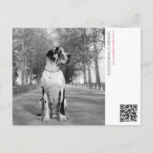 子犬お知らせポストカード ポストカード (正面)