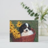 子犬かご ポストカード (スタンド正面)