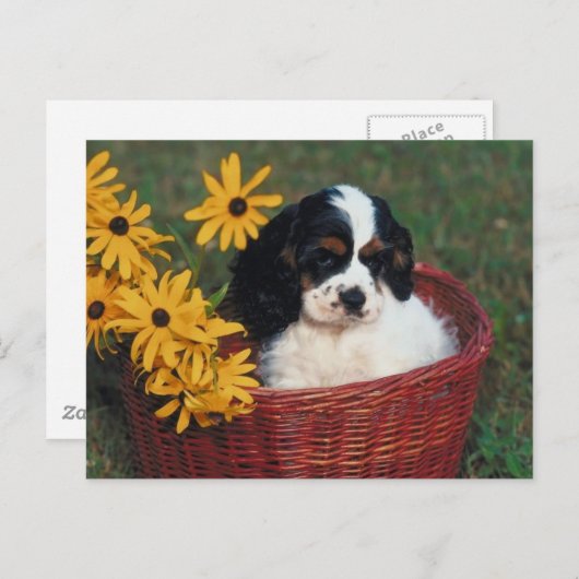 子犬かご ポストカード (正面/裏面)