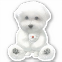 子犬がおもちゃを抱きしめている