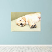 子犬がソファに寝そべっている キャンバスプリント (インサイチュ (ウッドフロア))