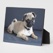 子犬がラウンジソファに フォトプラーク (側面)