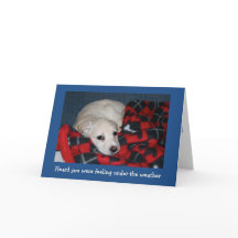 子犬が元気になる