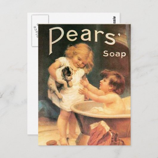 子犬が入浴するヴィンテージアンティーク ポストカード (正面/裏面)