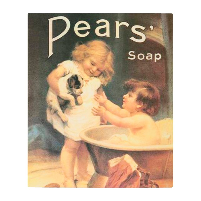 子犬が入浴するヴィンテージアンティーク メタルプリント (正面)