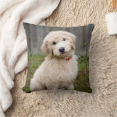 子犬が草の中に座る クッション (ブランケット)