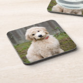 子犬が草の中に座る コースター (左側)