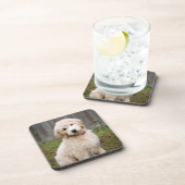 子犬が草の中に座る コースター (右側)