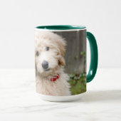 子犬が草の中に座る マグカップ (正面右)