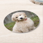 子犬が草の中に座る ラウンドペーパーコースター (アングル)