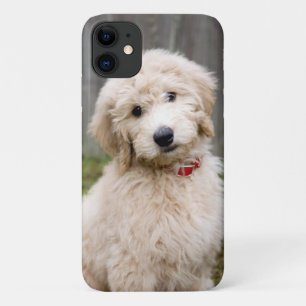 子犬が草の中に座る iPhone 11 ケース
