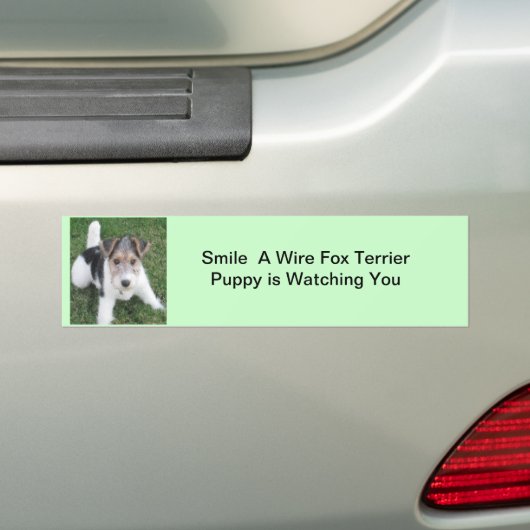 子犬が見ているワイヤーキツネは微笑します バンパーステッカー (車上)