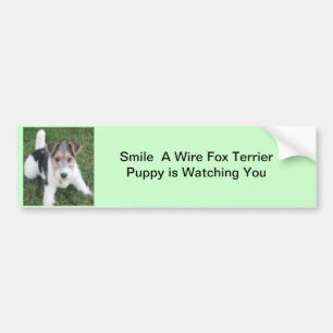 子犬が見ているワイヤーキツネは微笑します バンパーステッカー