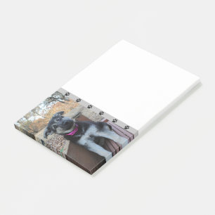 子犬が階段で待機するポストイットノート ポストイット