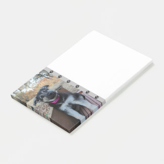 子犬が階段で待機するポストイットノート ポストイット